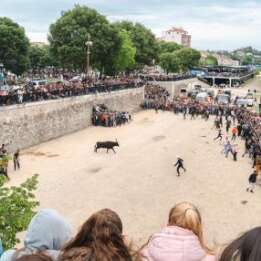 Feria - Encierro