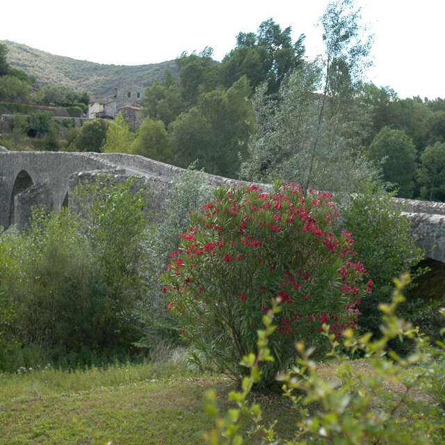 JEP 2025 - Mialet - Pont des Camisards