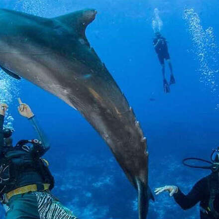 Rangiroa Diving Center