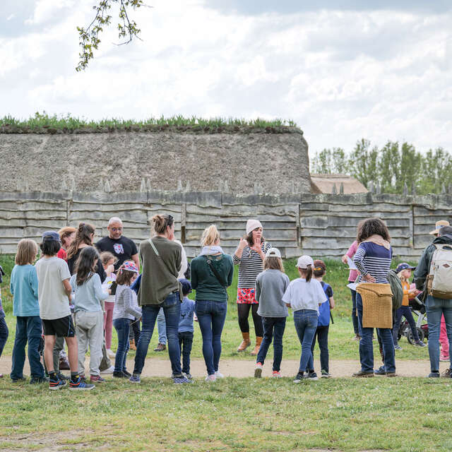 Visite accompagnée du Château à motte