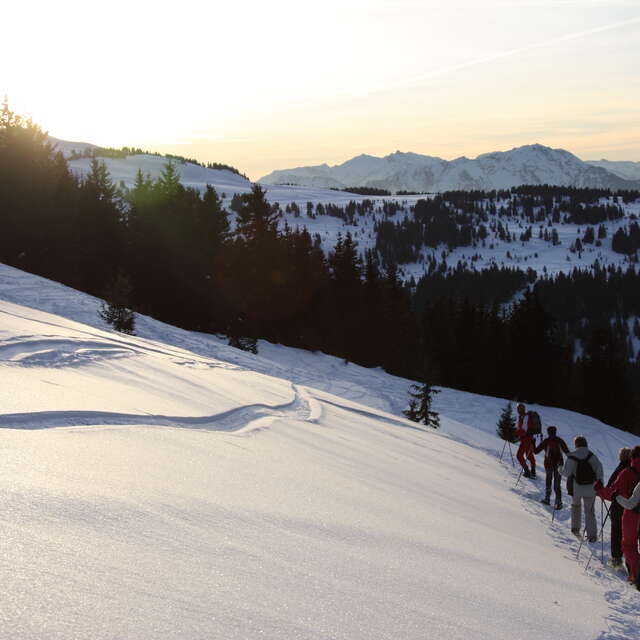 Nocturne sur les traces du Dahu