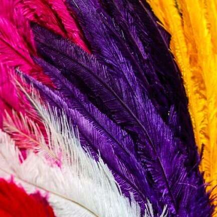 Corso Carnavalesque d'Aqui - Carnaval de Nice