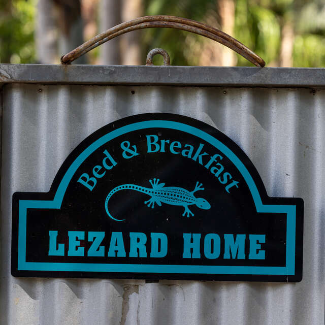 Lezard Home