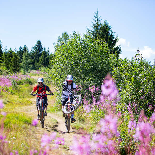 Enduro MTB - La Charette