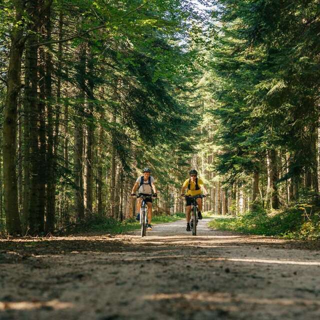 12 - La Roche Druidique de Crouzilhac