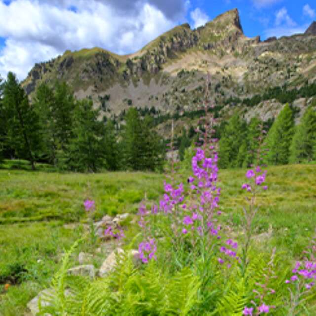 Semaine nature et montagne