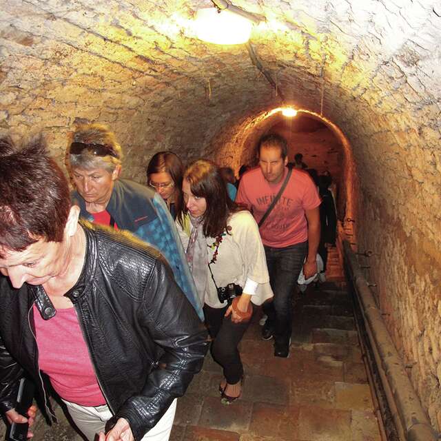 Visite guidée - Le MIB secret