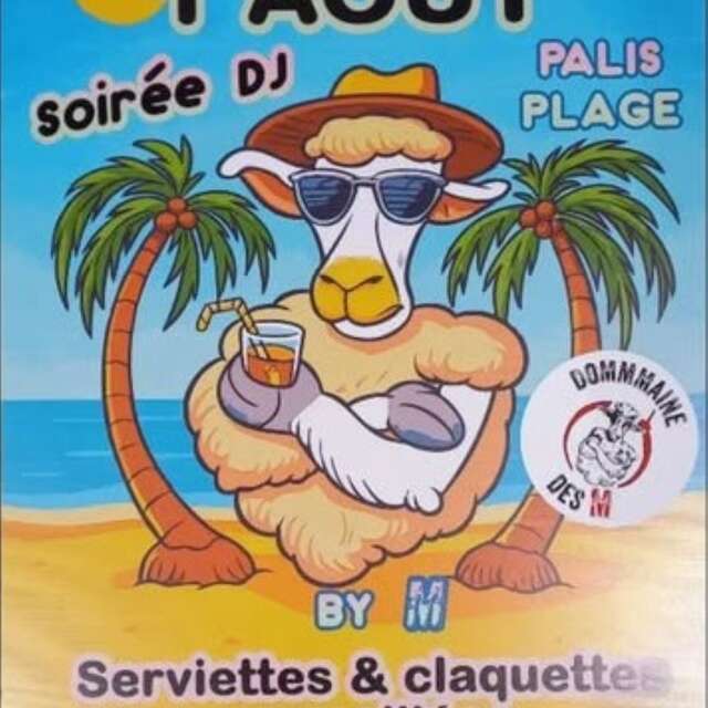 Soirée Dj au domaine des M