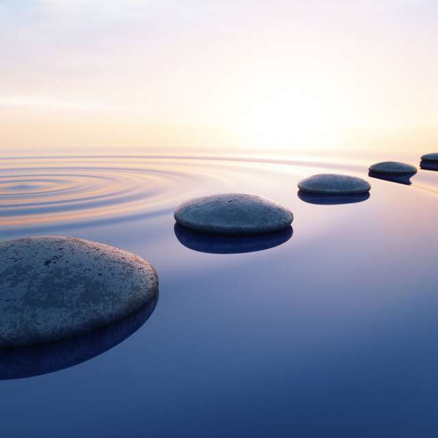 Stage de Tai Chi