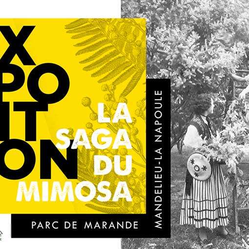 Exposition en plein air « La Saga du Mimosa »