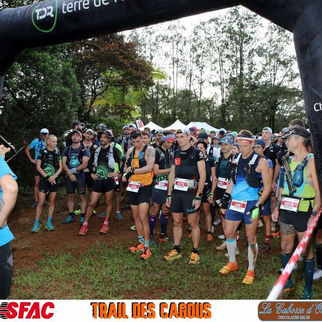 Trail des Cagous
