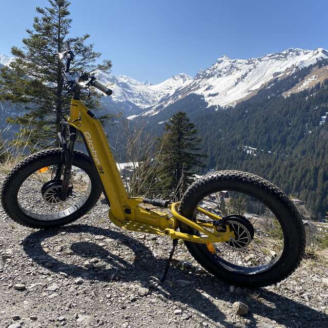 Electric scooter trip