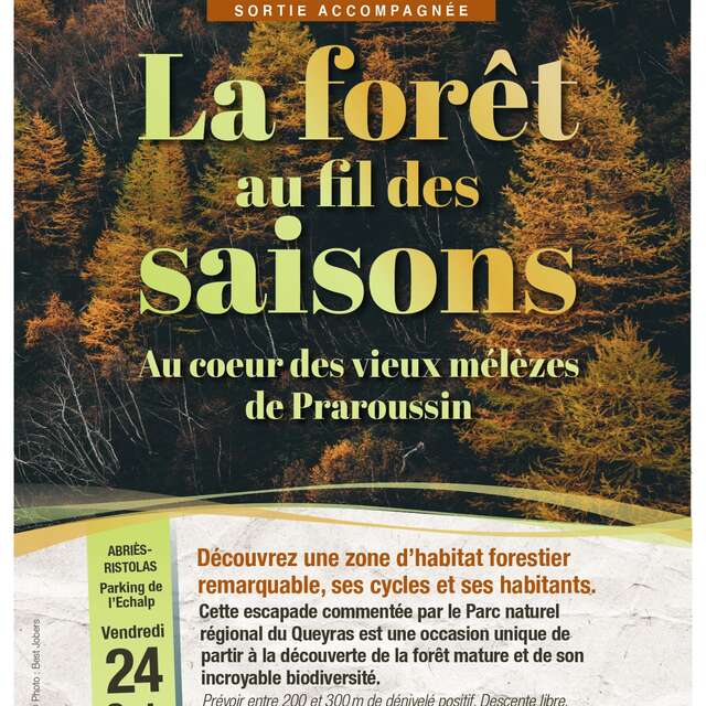Sortie Parc - La forêt au fil des saisons