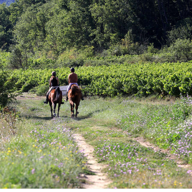 Balade à cheval avec Le Poney rouge
