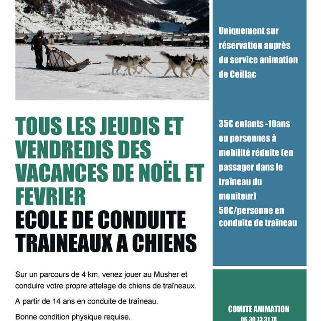 Balade en traineaux à chiens