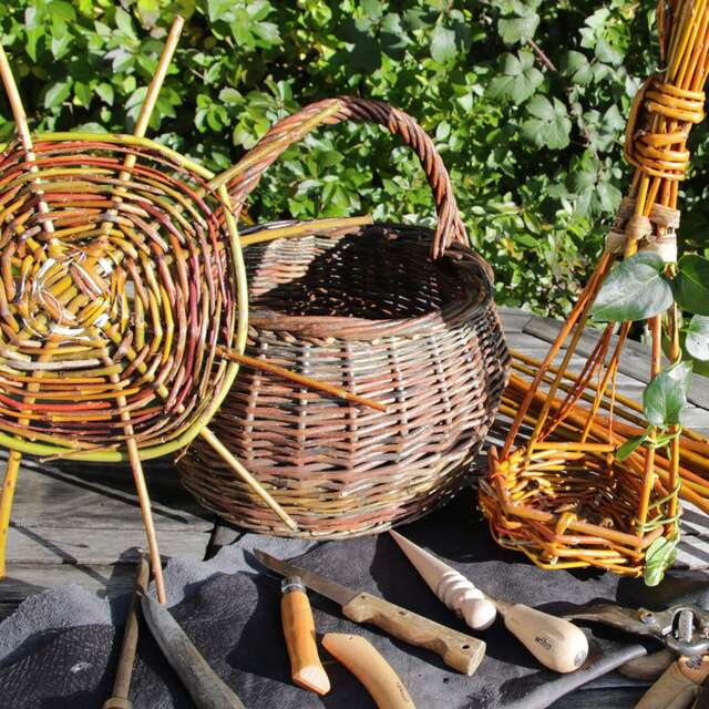 Vannerie sauvage : ethnobotanique