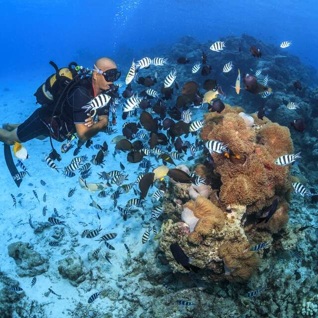Activiseas Tahiti