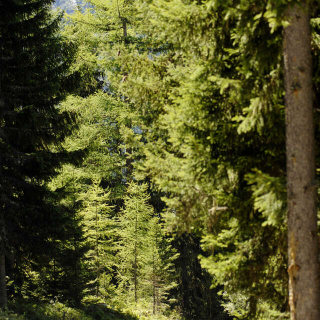 Hiking trail : Plan St André