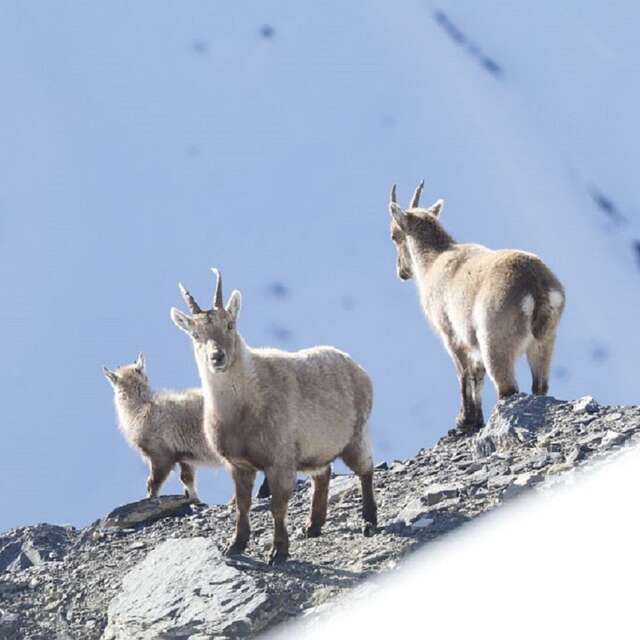 6 - Vers le Pont de Mars