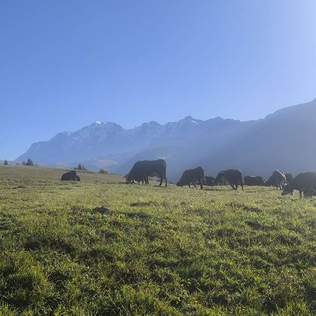 A la découverte de l'agriculture en montagne