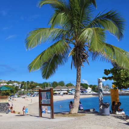 Plage des Roches Noires