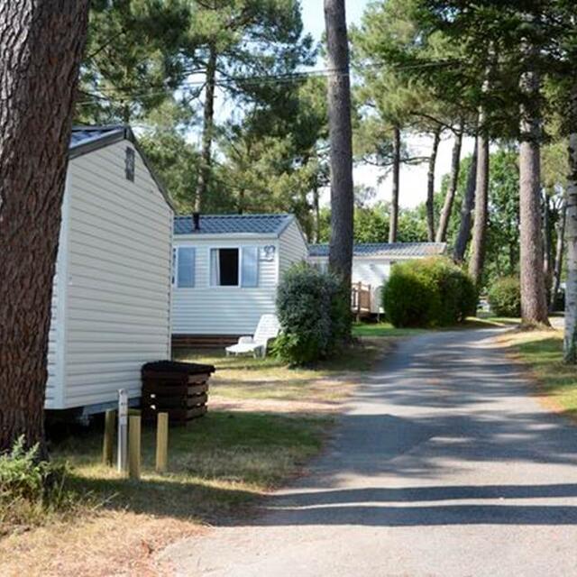 Camping-de-Kergo-Morbihan-Bretagne-Sud