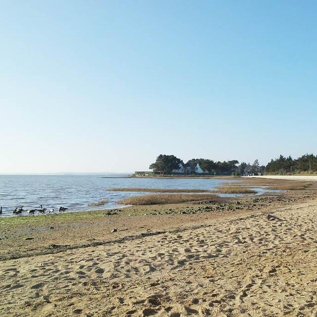 Plage de Saint-Armel - Morbihan - Bretagne Sud