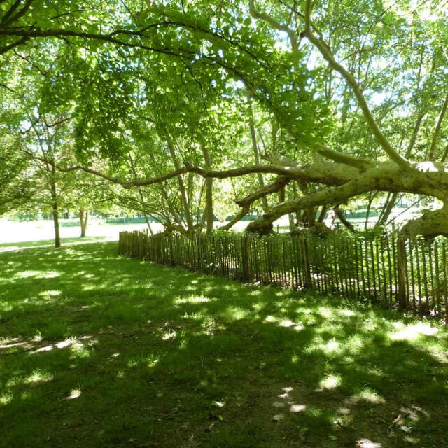 Parc Environemental (9)