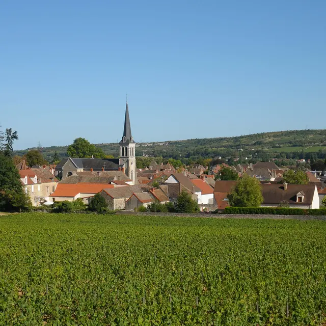 Balade à Santenay (Santenay) Beaune und das Pays Beaunois Tourismus