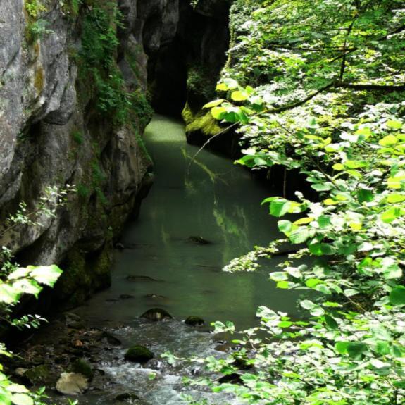 Les du Guiers vif (SaintChristophesurGuiers) Site Officiel