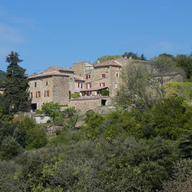 Mas du Tes Gîte Glycine
