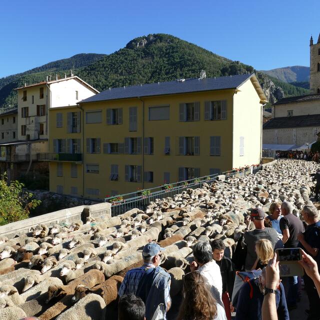 14ème Fête de la Brebis Brigasque (La Brigue) | Provence-Alpes-Côte d ...