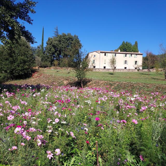 Chambre du Mas de Falguière-1