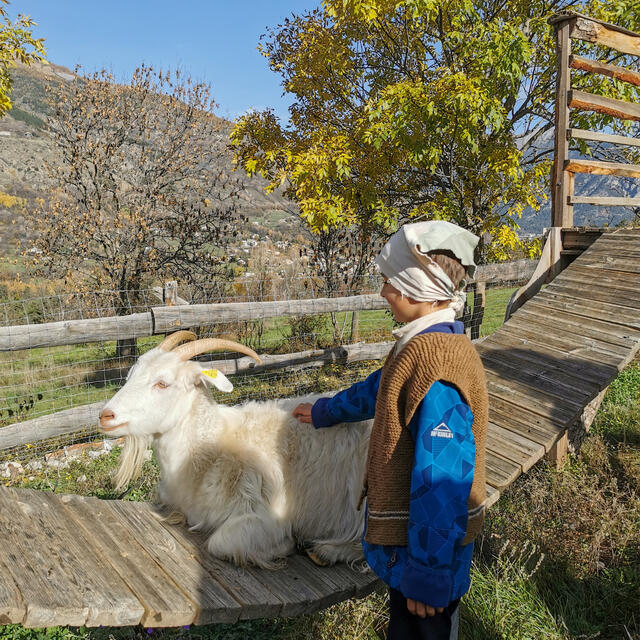 Fermier d'un soir à la Ferme des Regains