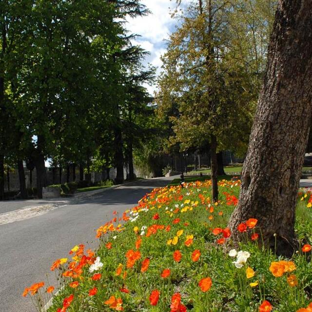 Parc du Bosquet Alès