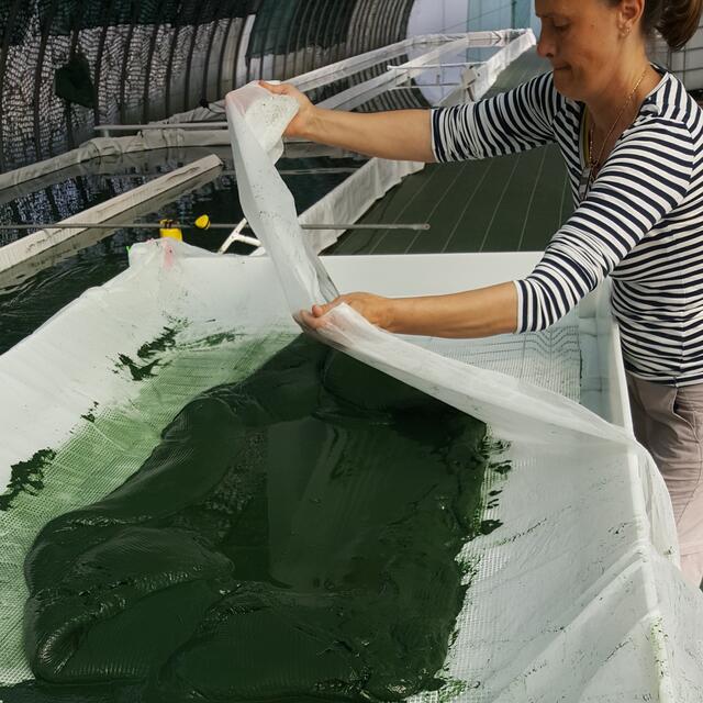Spiruline De Ners - NERS