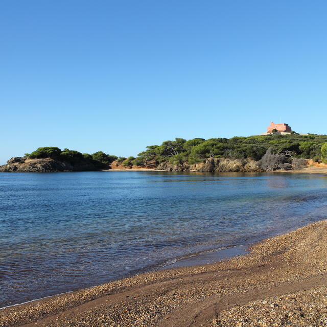 La plage noire du Langoustier - île de Porquerolles - Hyères