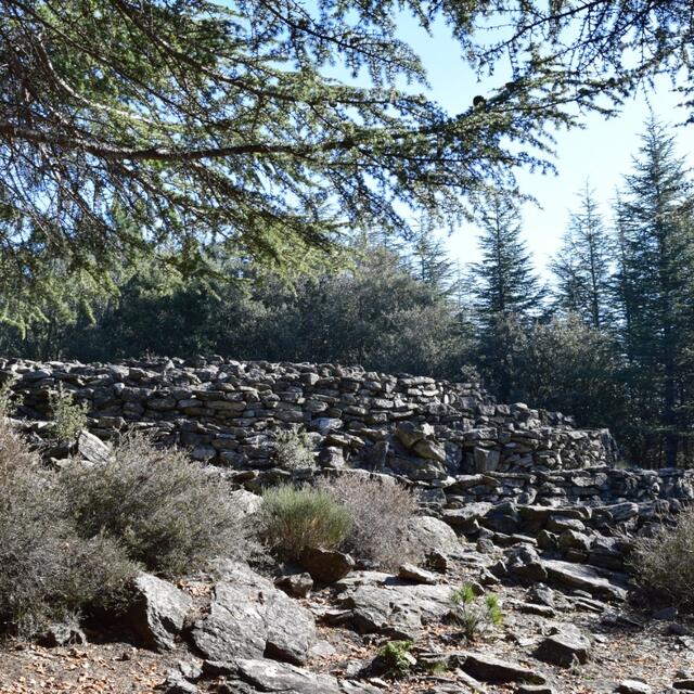 Tumulus Elzière-1
