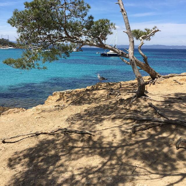 Excursion Port Cros- Porquerolles
