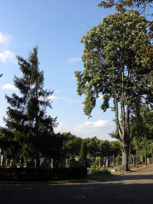 Führung : das Friedhof, zwischen Kunst und Geschichte