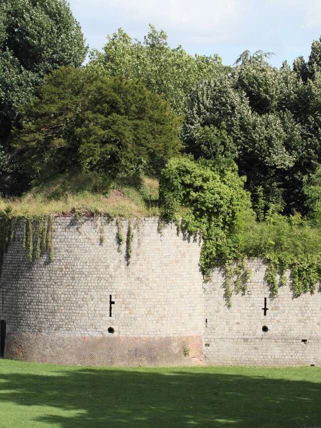 Tour des Dames