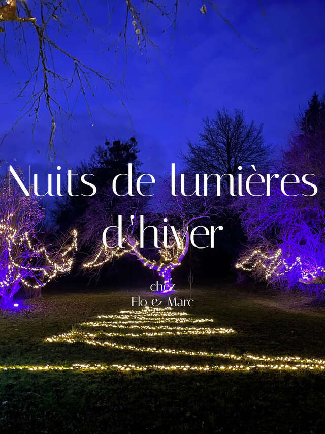 Nuits de lumières d'hiver