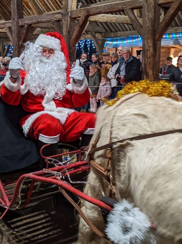 Spectacle équestre de Noël