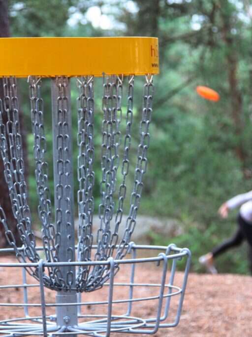 WOODY DISC GOLF