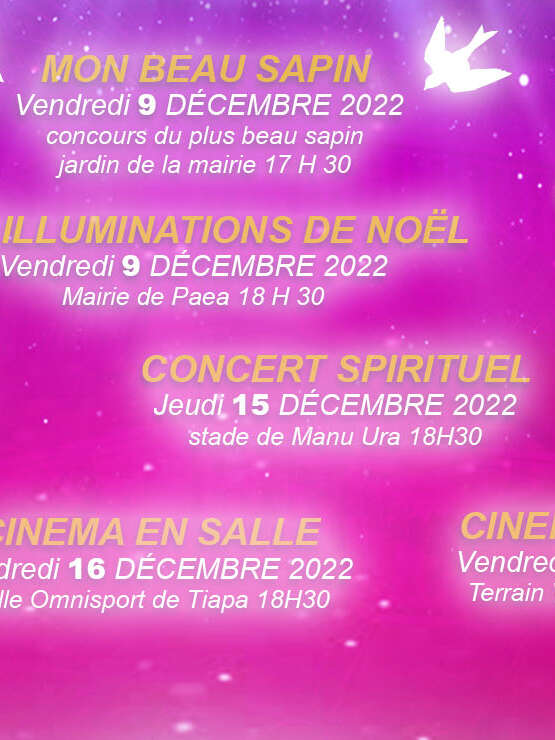 Les illuminations de Noël - Mairie de Paea