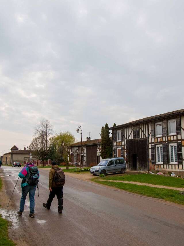 Promenade à la campagne - 17 km