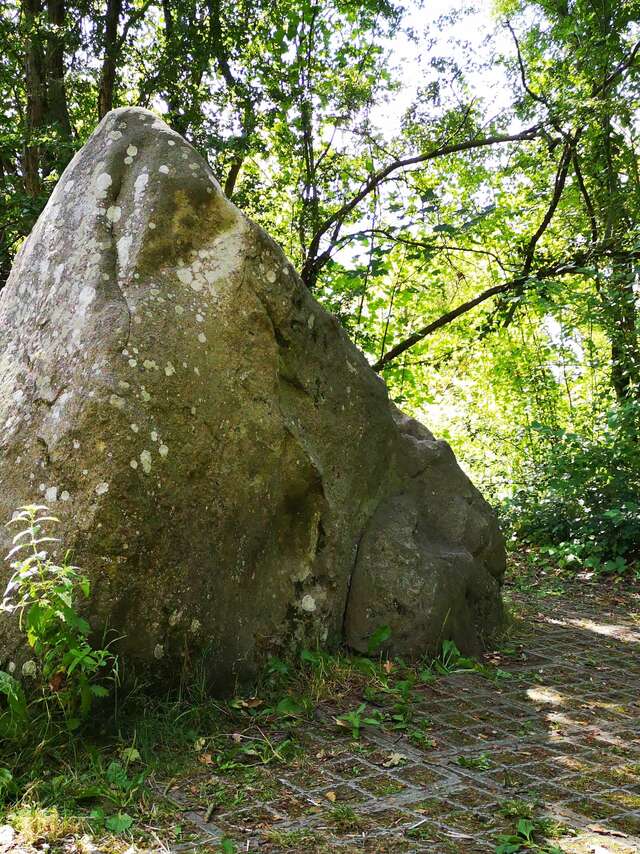 La pierre qui pousse