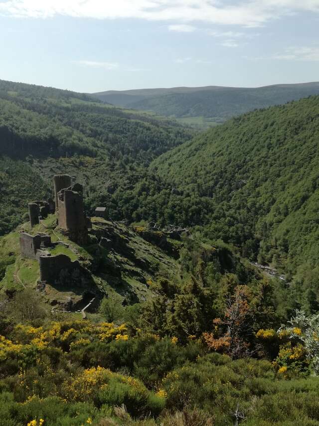 CHATEAU DU TOURNEL