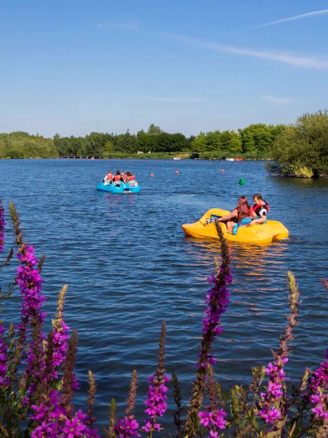 Courir à Douai - Le rivage Gayant