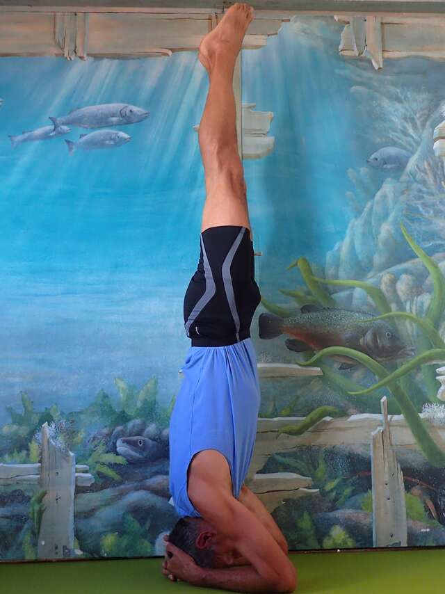 Cours de Hatha Yoga